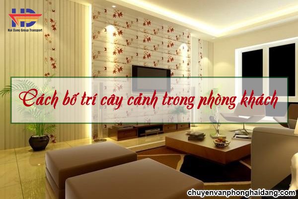 Chuyên gia tư vấn cách bố trí cây cảnh trong phòng khách hợp phong thủy