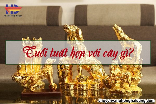 Tuổi Tuất hợp với cây gì? Giải đáp chi tiết từ A-Z bởi chuyên gia